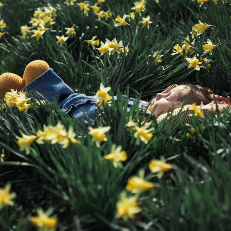 Daff-field-Spring-in-Fjord-Norway-Eline-Karlsdatter-Fladseth-Visit-Nordvest.jpg